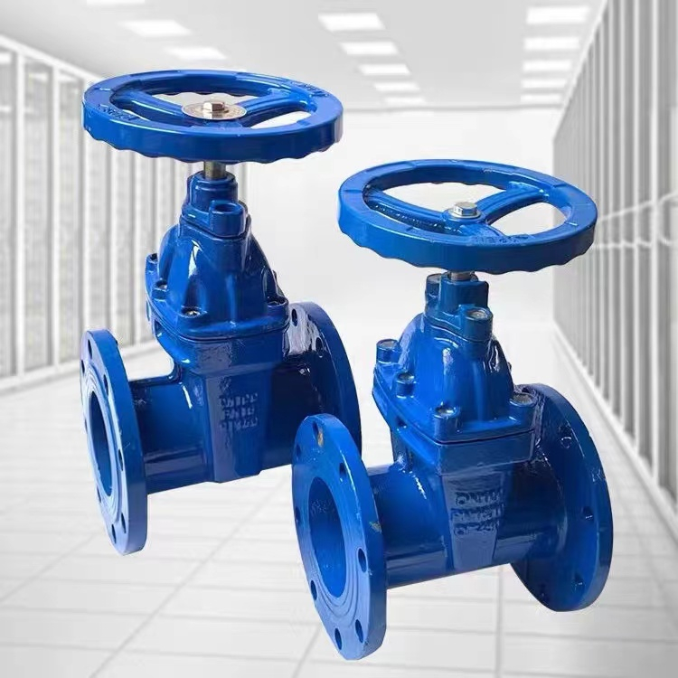 廠家批發(fā)閘閥 彈性軟密封圖片/廠家批發(fā)閘閥 彈性軟密封樣板圖 (3)