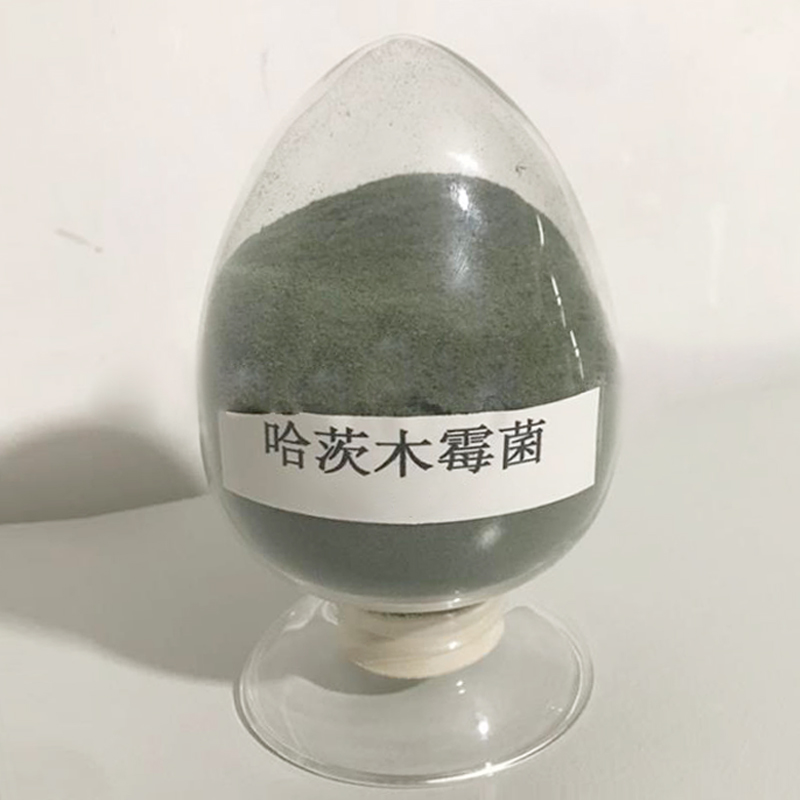 哈茨木霉菌微生物菌劑生根壯苗預(yù)防根腐病