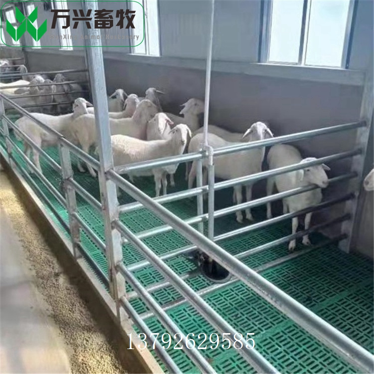 羊漏糞地板 羊圈羊床建設(shè) 羊場用羊床