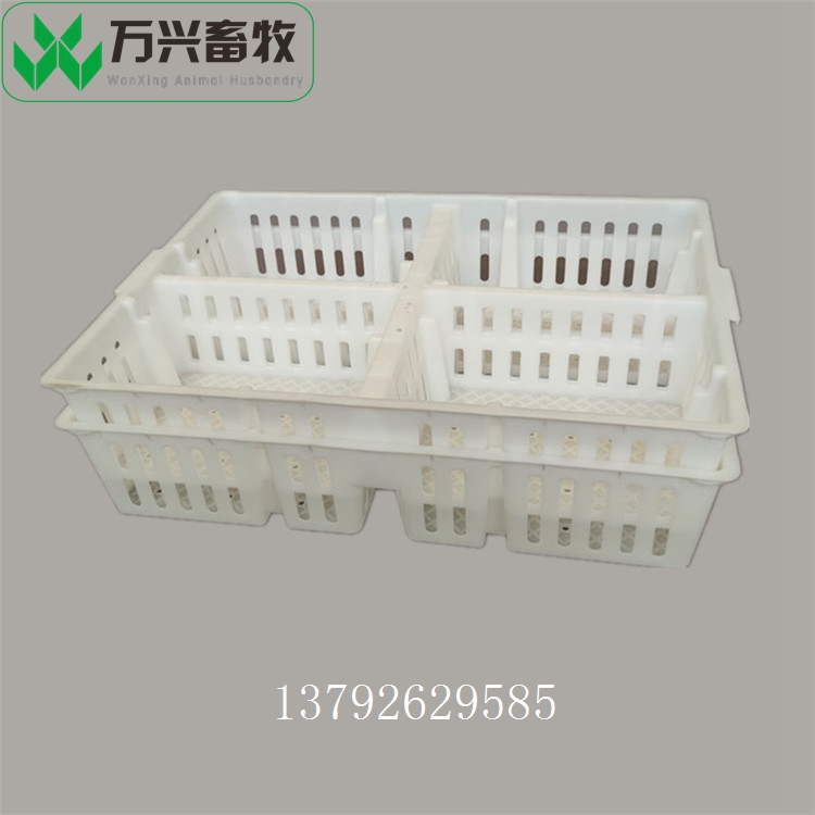 雛雞周轉(zhuǎn)箱圖片/雛雞周轉(zhuǎn)箱樣板圖 (1)
