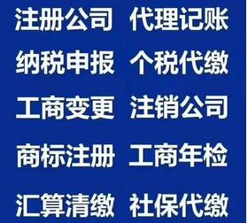 重庆梁平提供代账 验资 审计 一般纳税人申请图片