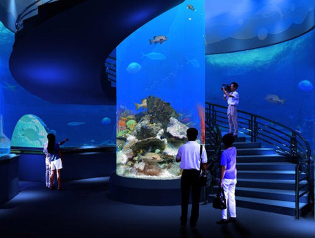 天津 旅游景点水族馆工程设计施工，大型水族馆工程建造价格图片