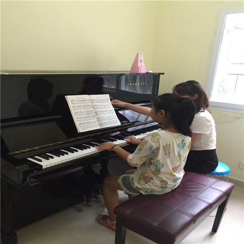 鋼琴培訓(xùn)圖片/鋼琴培訓(xùn)樣板圖 (4)