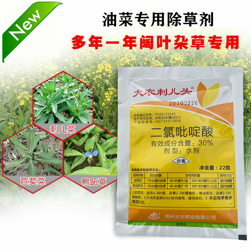 玉米油菜甘蓝甜菜除草剂---大农刺儿头图片