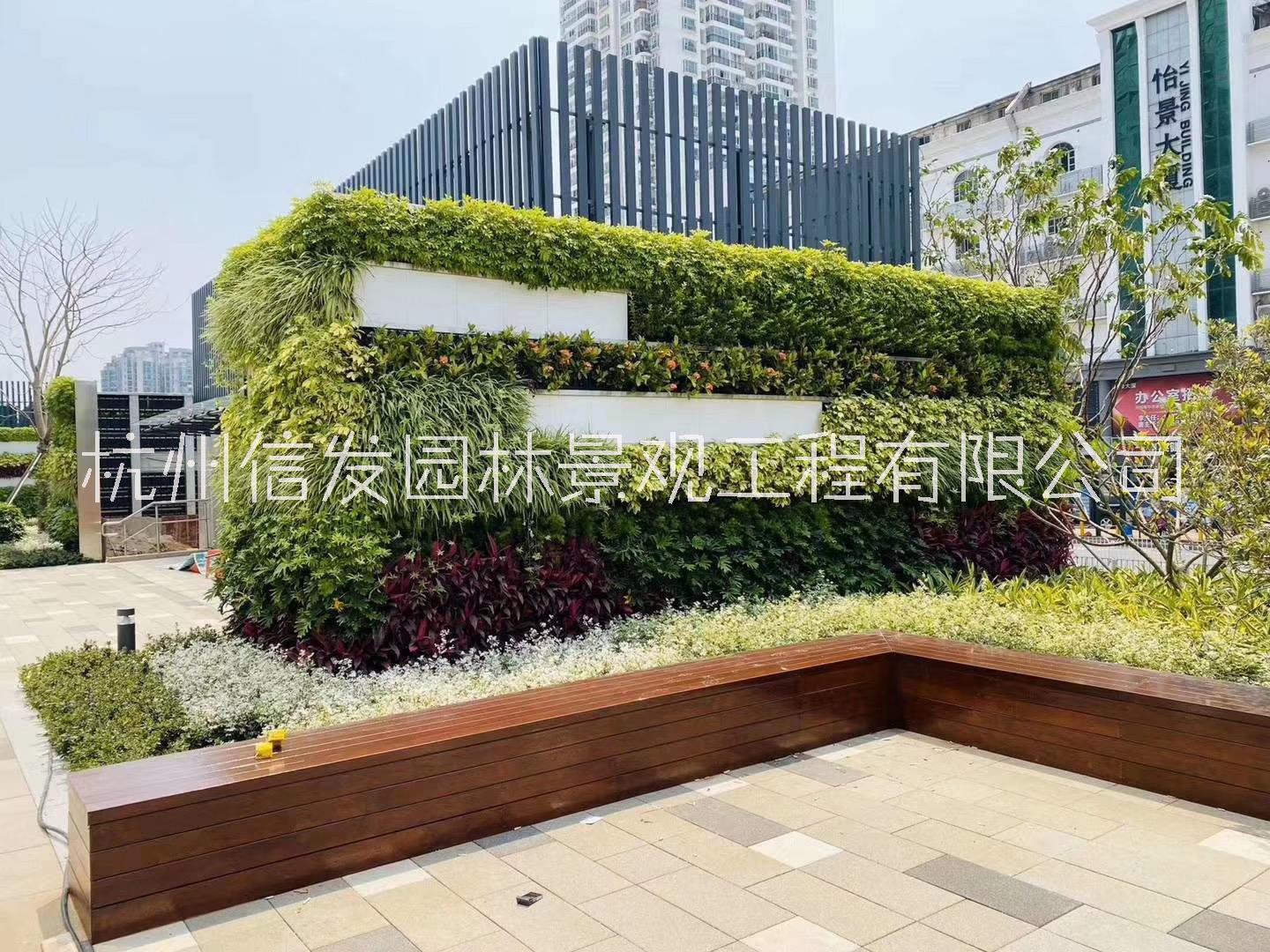 植物墻施工圖片/植物墻施工樣板圖 (3)