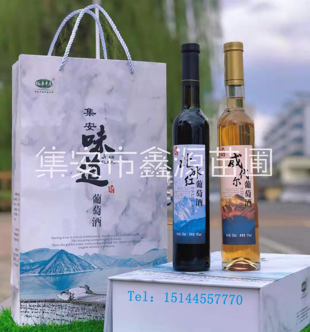 葡萄苗圖片/葡萄苗樣板圖 (2)