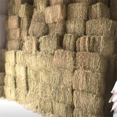 牛羊飼料圖片/牛羊飼料樣板圖 (2)