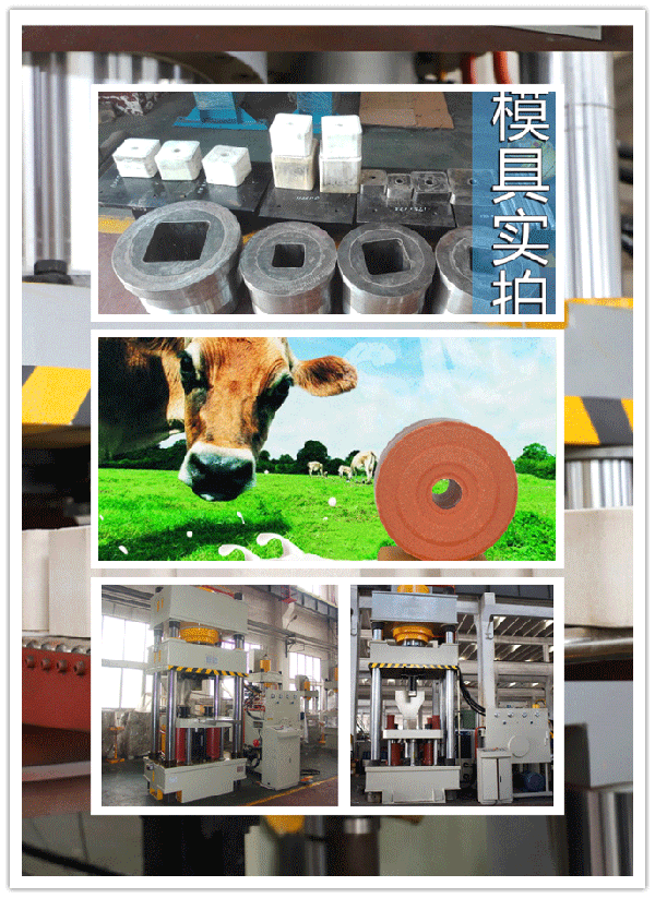 磚壓塊機(jī)圖片/磚壓塊機(jī)樣板圖 (1)
