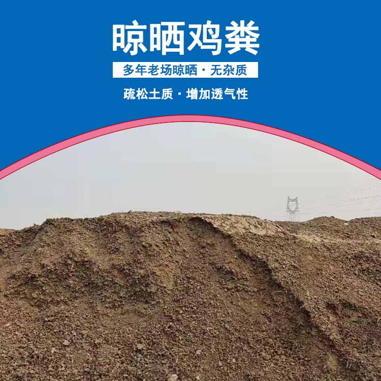 干雞糞圖片/干雞糞樣板圖 (4)