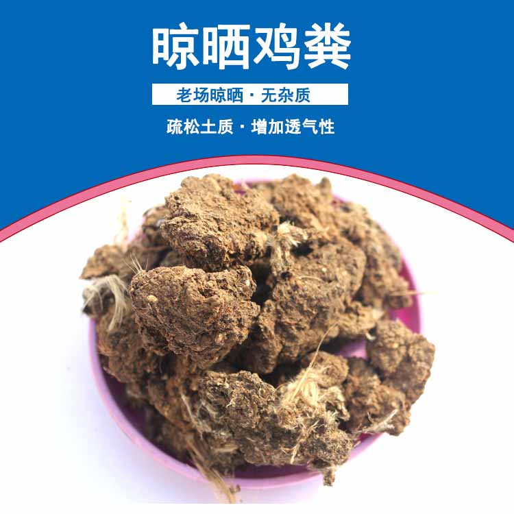 福建干雞糞圖片/福建干雞糞樣板圖 (4)
