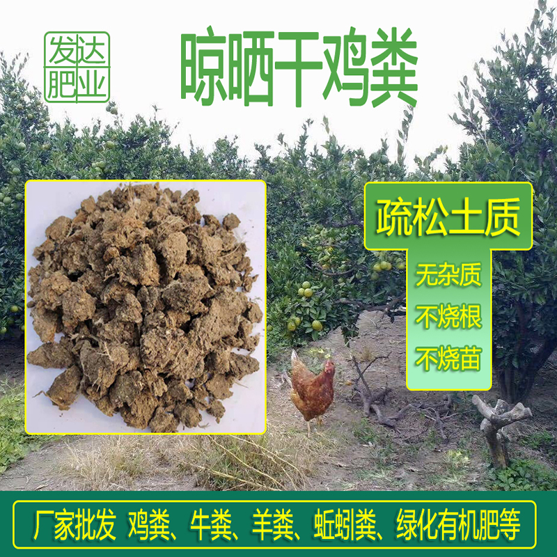 干雞糞圖片/干雞糞樣板圖 (3)