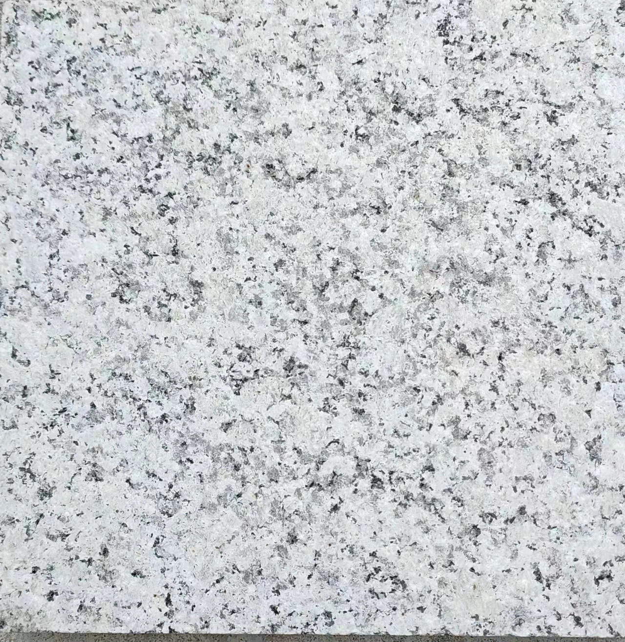 供應(yīng)芝麻白石材 芝麻白石材哪里便宜