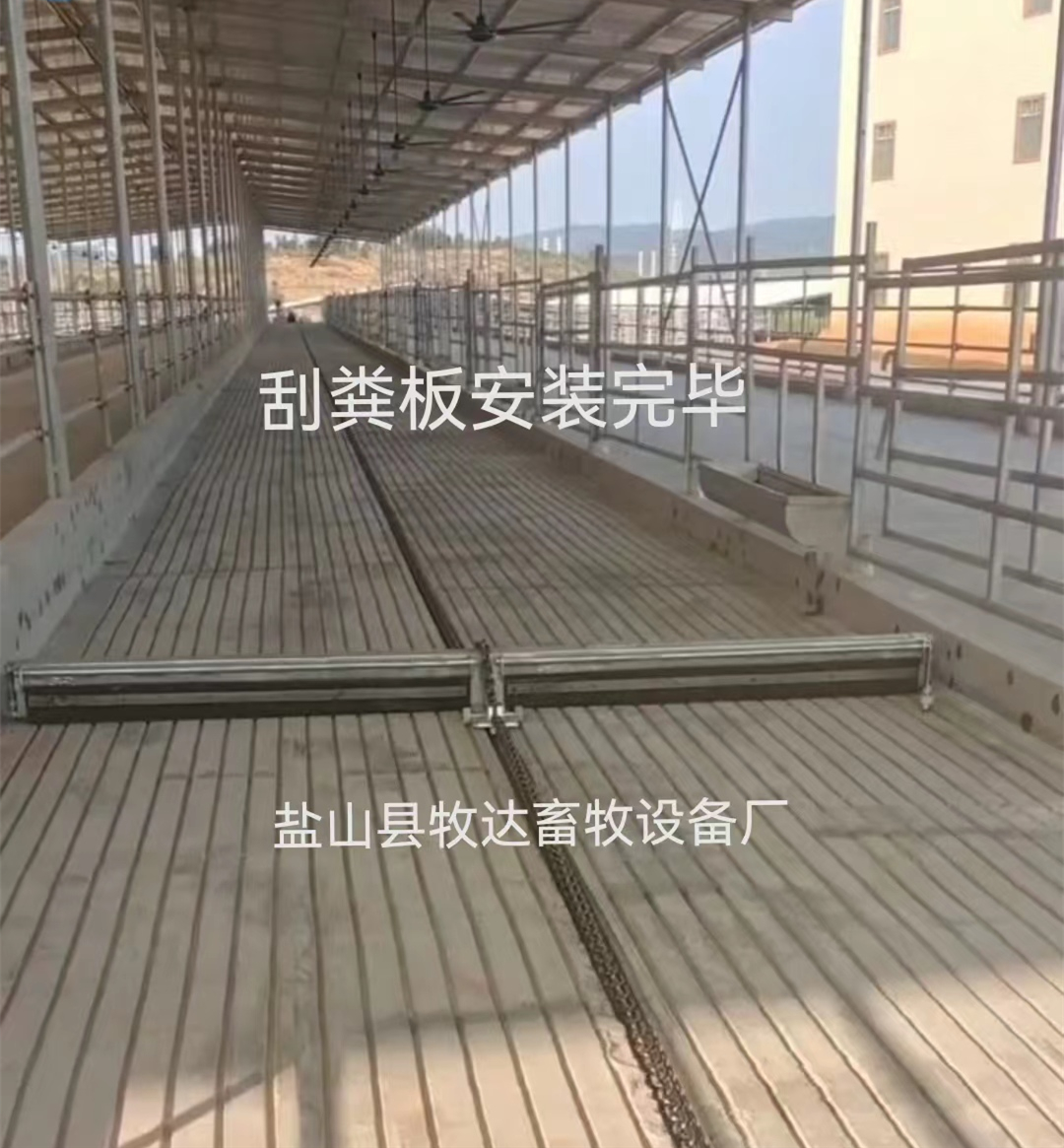 養(yǎng)牛場(chǎng)圖片/養(yǎng)牛場(chǎng)樣板圖 (2)