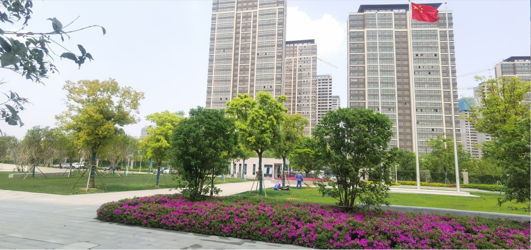 綠化維護(hù)圖片/綠化維護(hù)樣板圖 (1)