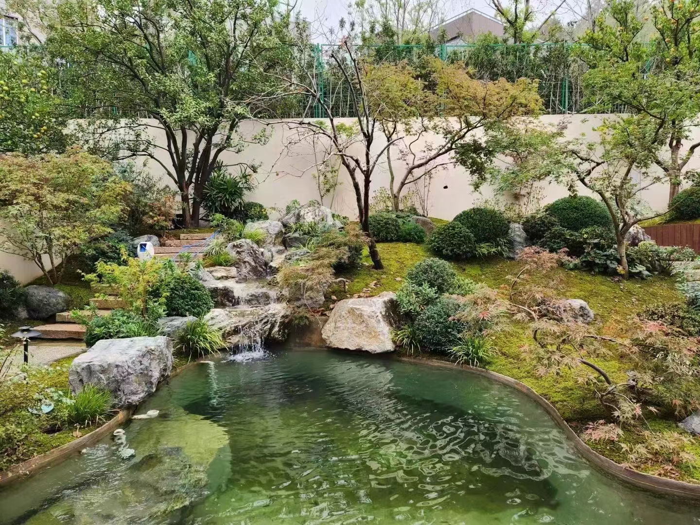 北京魚池凈化方案公司   朝陽魚池凈化哪家好