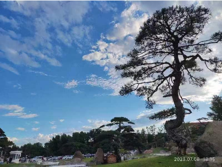 北京綠化施工維護(hù)圖片