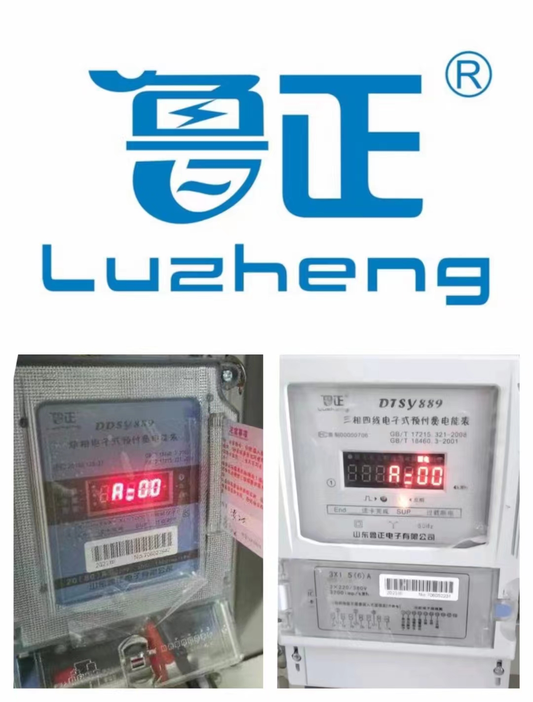 正電圖片/正電樣板圖 (1)
