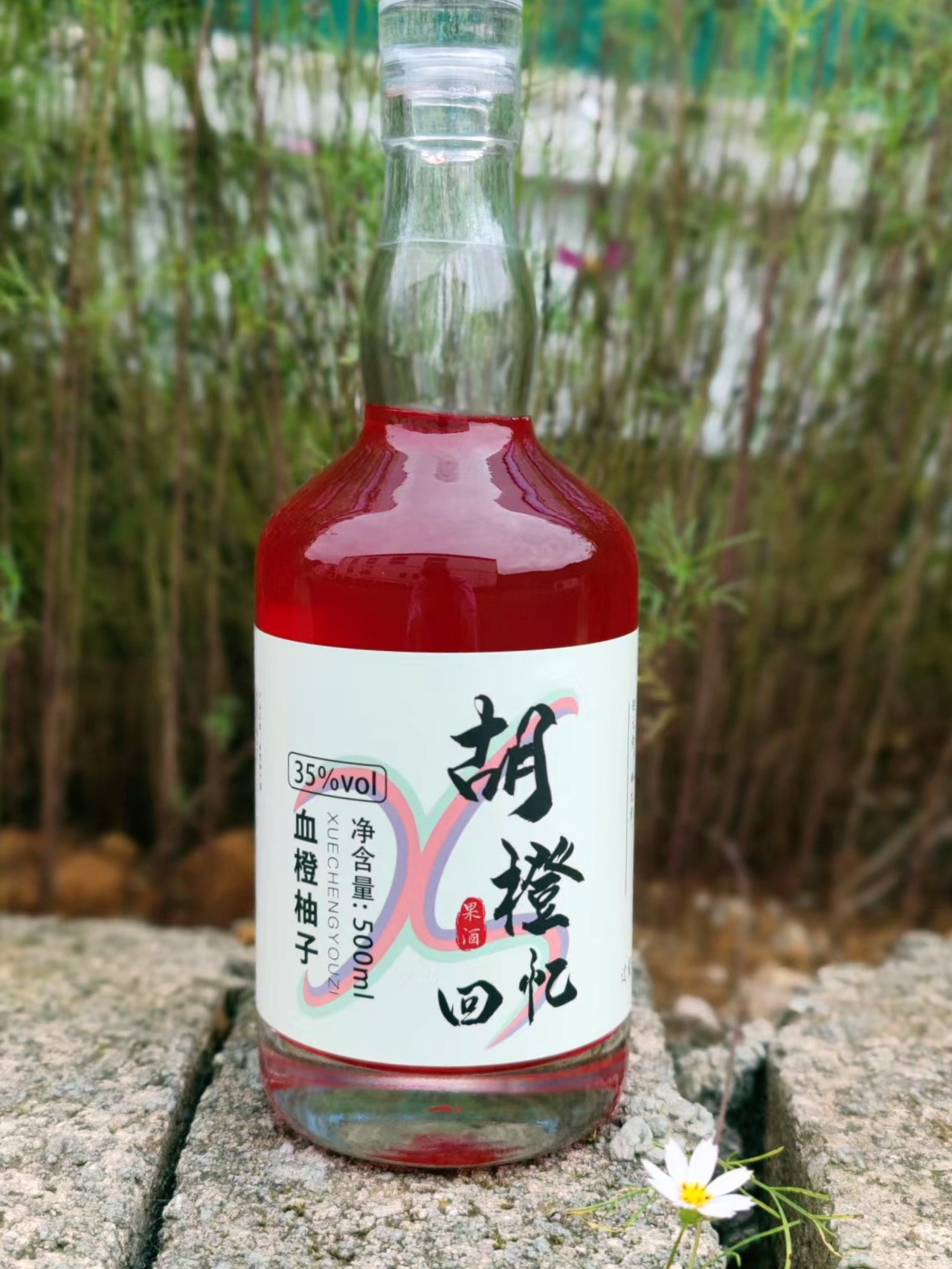 重庆市柚子血橙酒厂家