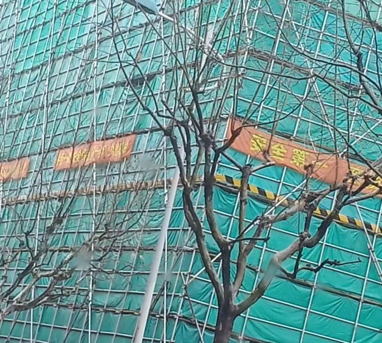 施工爬架圖片/施工爬架樣板圖 (4)