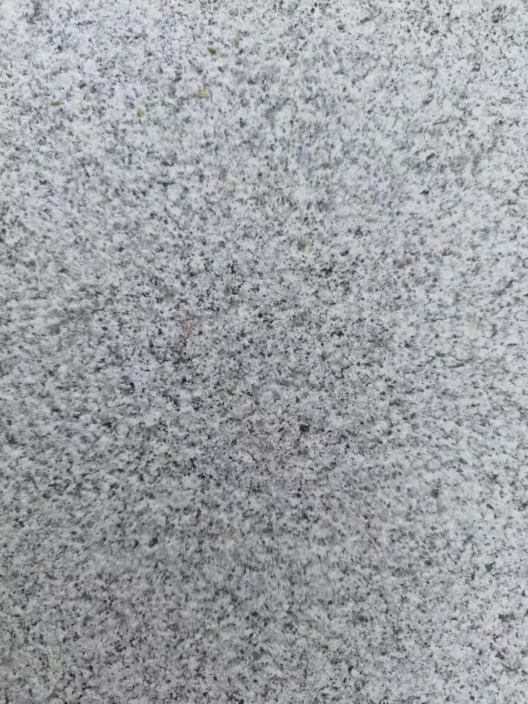 芝麻灰石材圖片/芝麻灰石材樣板圖 (3)