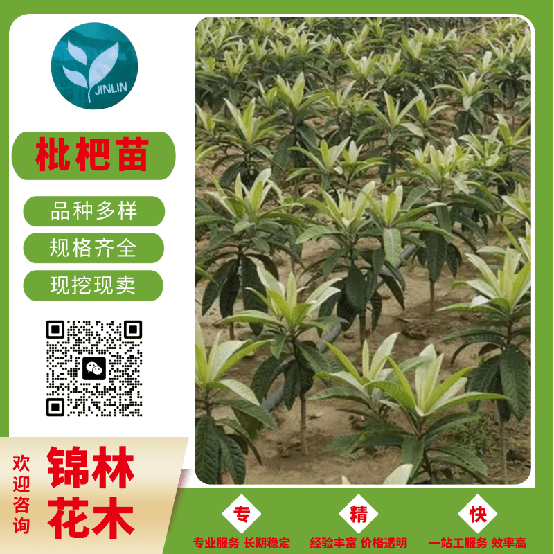 10公分圖片/10公分樣板圖 (2)