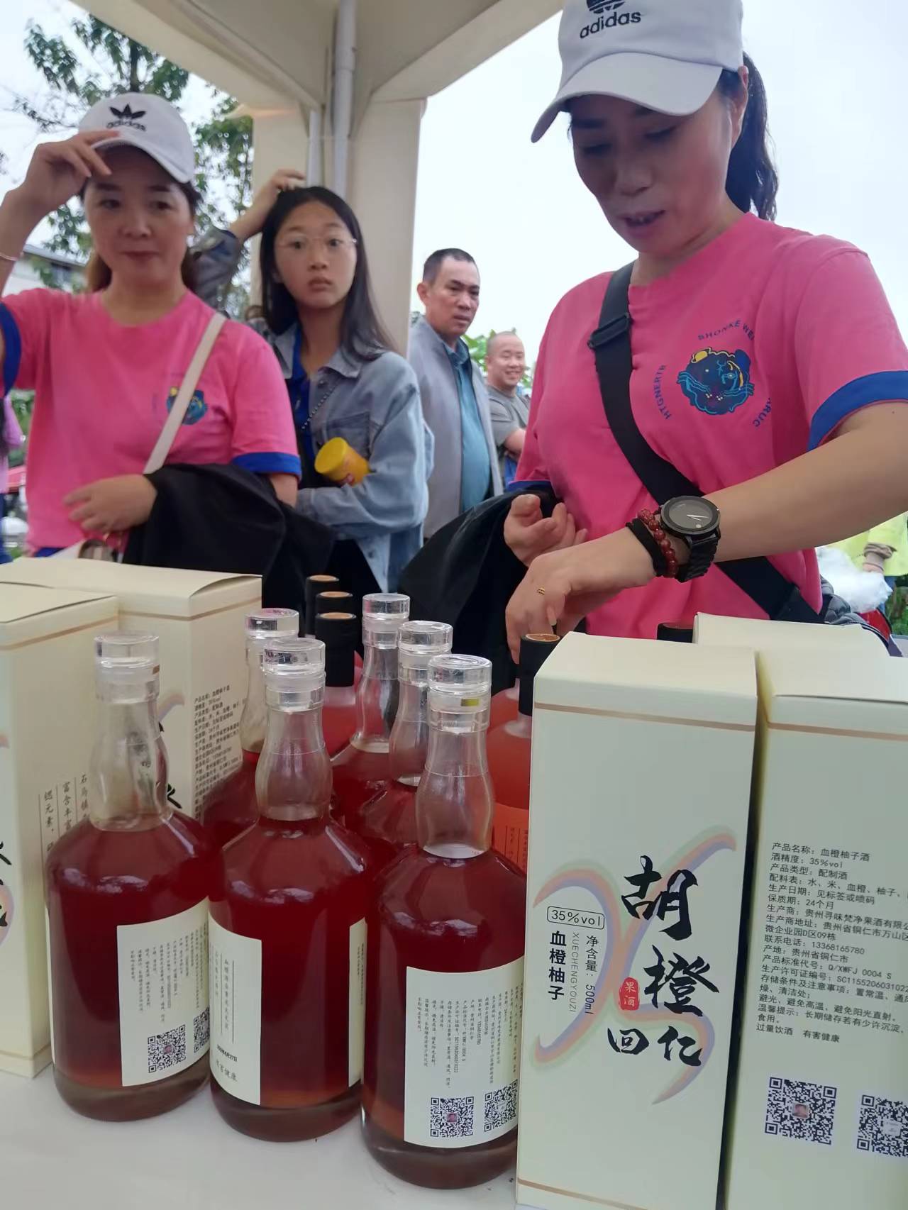 大量供应柚子血橙酒厂商_礼盒装血橙酒批发价格