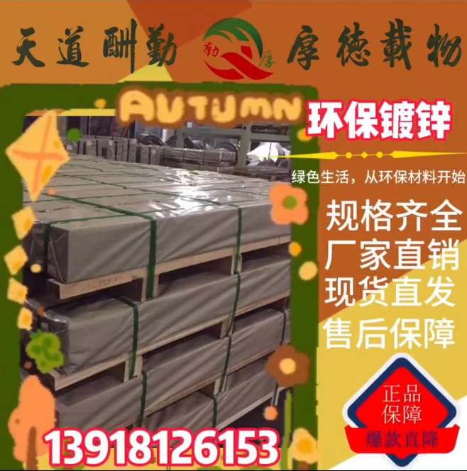 國城鍍鋅，武鋼控股，國城鍍鋅上海經(jīng)銷，武鋼國城鍍鋅圖片/國城鍍鋅，武鋼控股，國城鍍鋅上海經(jīng)銷，武鋼國城鍍鋅樣板圖 (4)