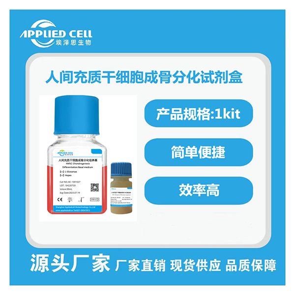 間充質(zhì)干細胞圖片/間充質(zhì)干細胞樣板圖 (2)