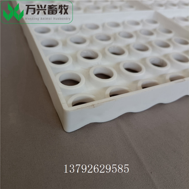 供應(yīng)萬(wàn)興畜牧兔用塑料漏糞板 規(guī)格600×600mm圖片/供應(yīng)萬(wàn)興畜牧兔用塑料漏糞板 規(guī)格600×600mm樣板圖 (2)