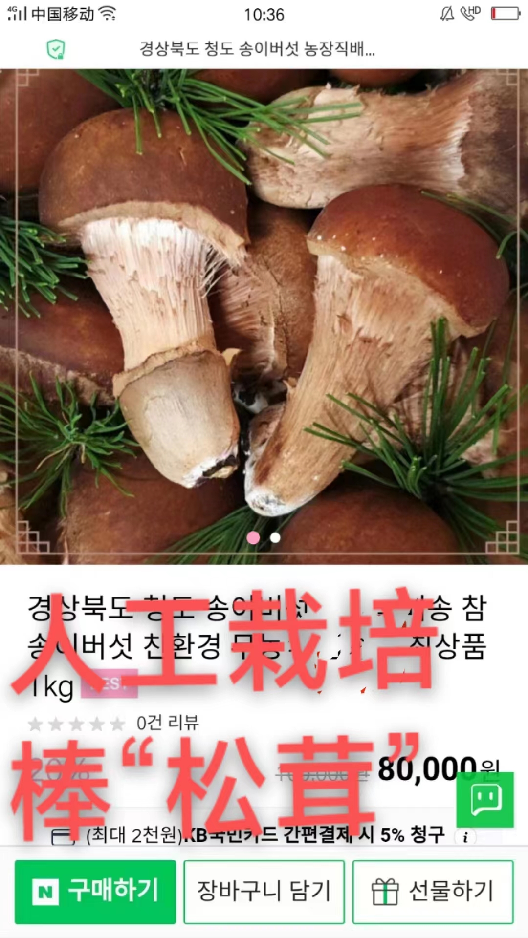 松茸種植基地圖片