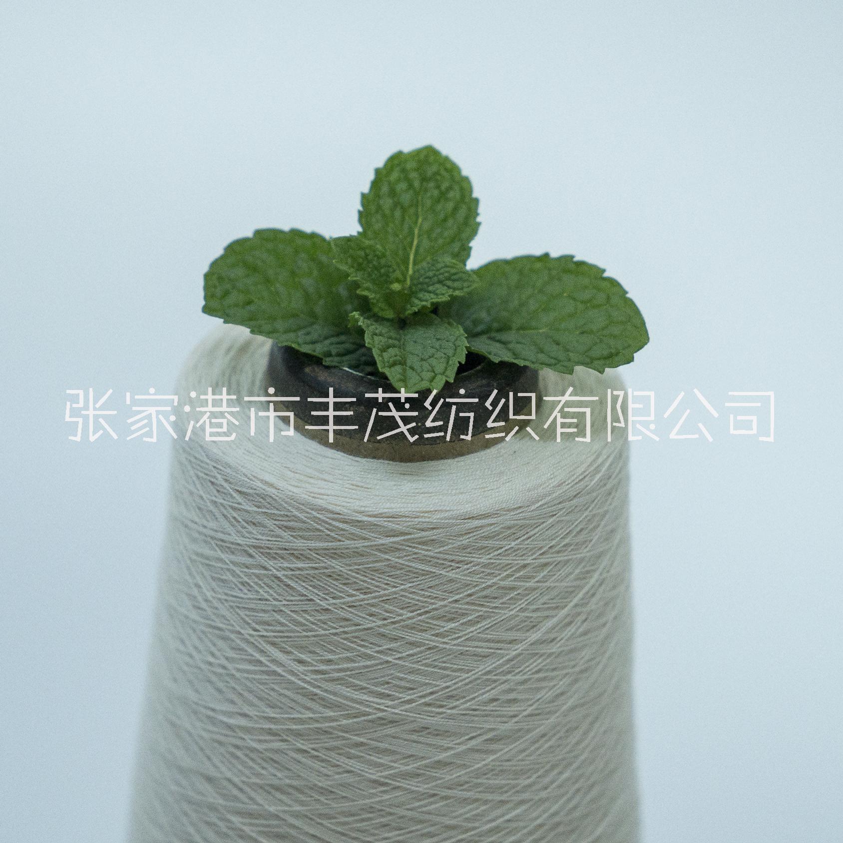 薄荷圖片/薄荷樣板圖 (1)