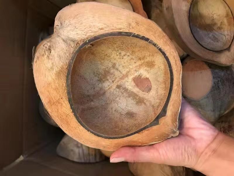 海南椰子殼蠟燭杯價格-生產(chǎn)廠家-批發(fā)價格-報價【文昌東郊椰藝雜貨店】