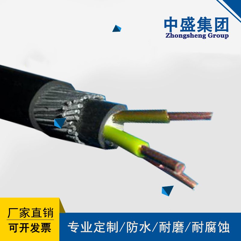 鎧裝計算機電纜圖片/鎧裝計算機電纜樣板圖 (3)