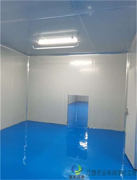 車間凈化工程施工圖片/車間凈化工程施工樣板圖 (4)