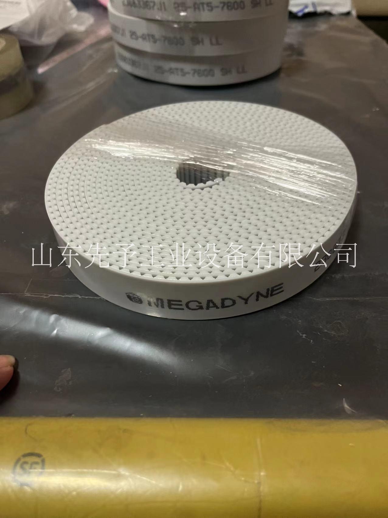 意大利麥高迪同步帶圖片/意大利麥高迪同步帶樣板圖 (4)