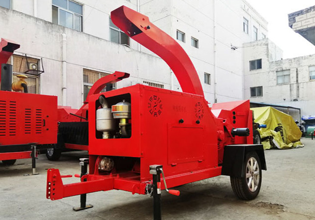 樹枝圖片/樹枝樣板圖 (2)