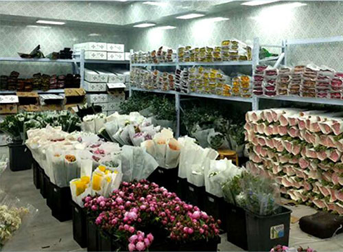 物流冷庫圖片/物流冷庫樣板圖 (2)