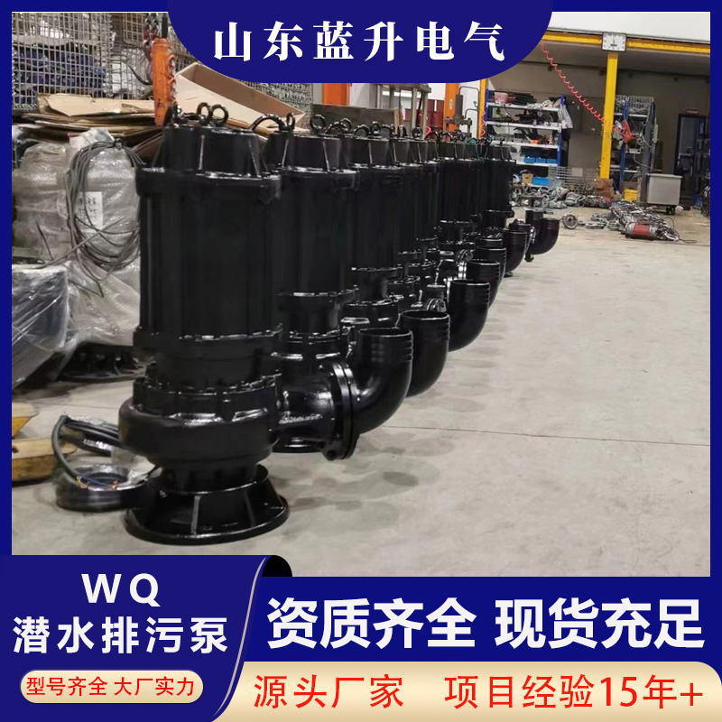 河南潛污泵廠家 鄭州排污泵價格-新鄉(xiāng)污水泵供貨商-批發(fā)- 定制（山東藍升泵業(yè)）