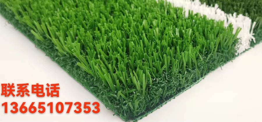 人工草坪圖片/人工草坪樣板圖 (4)