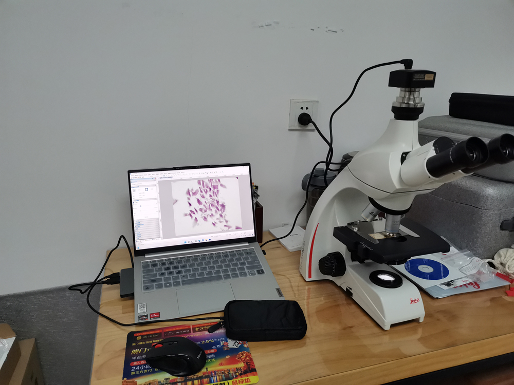 重庆徕卡 DM500 生物显微镜 价格图片