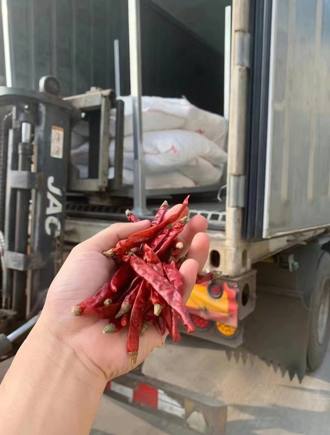 辣椒干圖片/辣椒干樣板圖 (3)