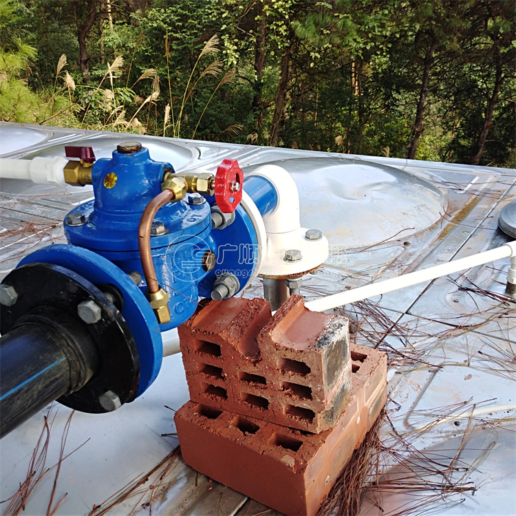 廣西山地藥材灌溉 用滴灌還是噴灌 南寧廣順參考方案圖片/廣西山地藥材灌溉 用滴灌還是噴灌 南寧廣順參考方案樣板圖 (4)