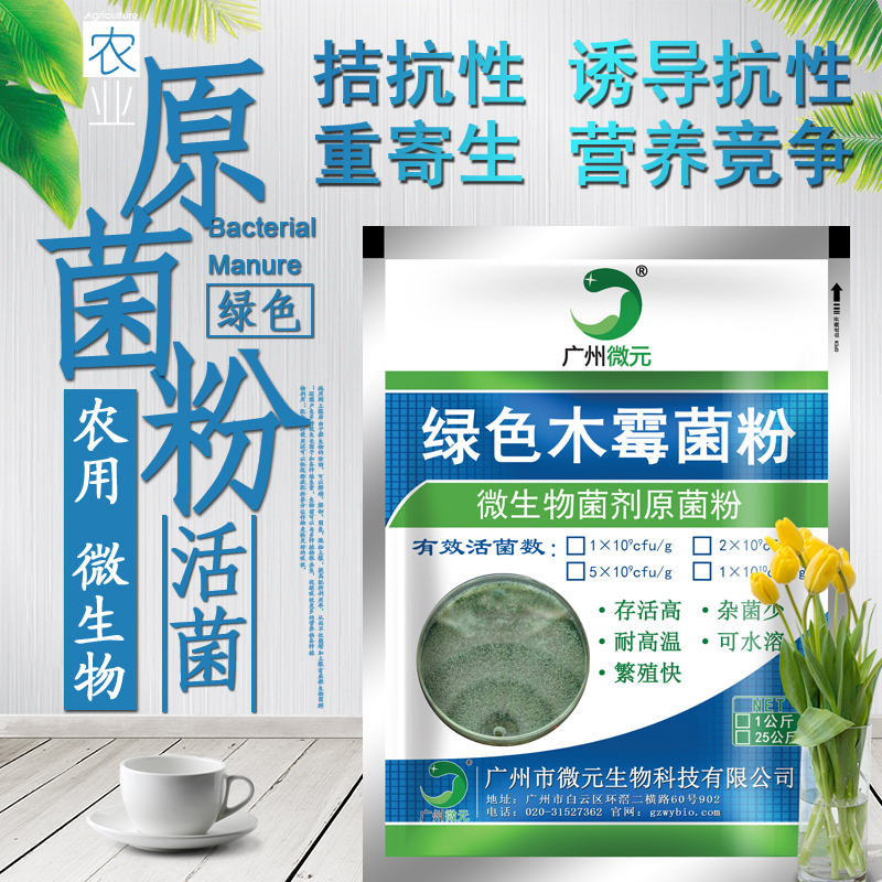 绿色木霉菌200亿/克 农用微生物菌剂绿色木霉菌防治性土传病害图片