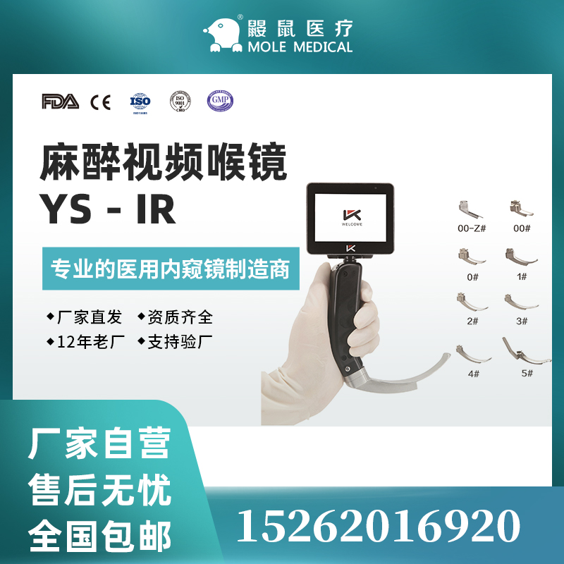 鼴鼠醫(yī)療圖片