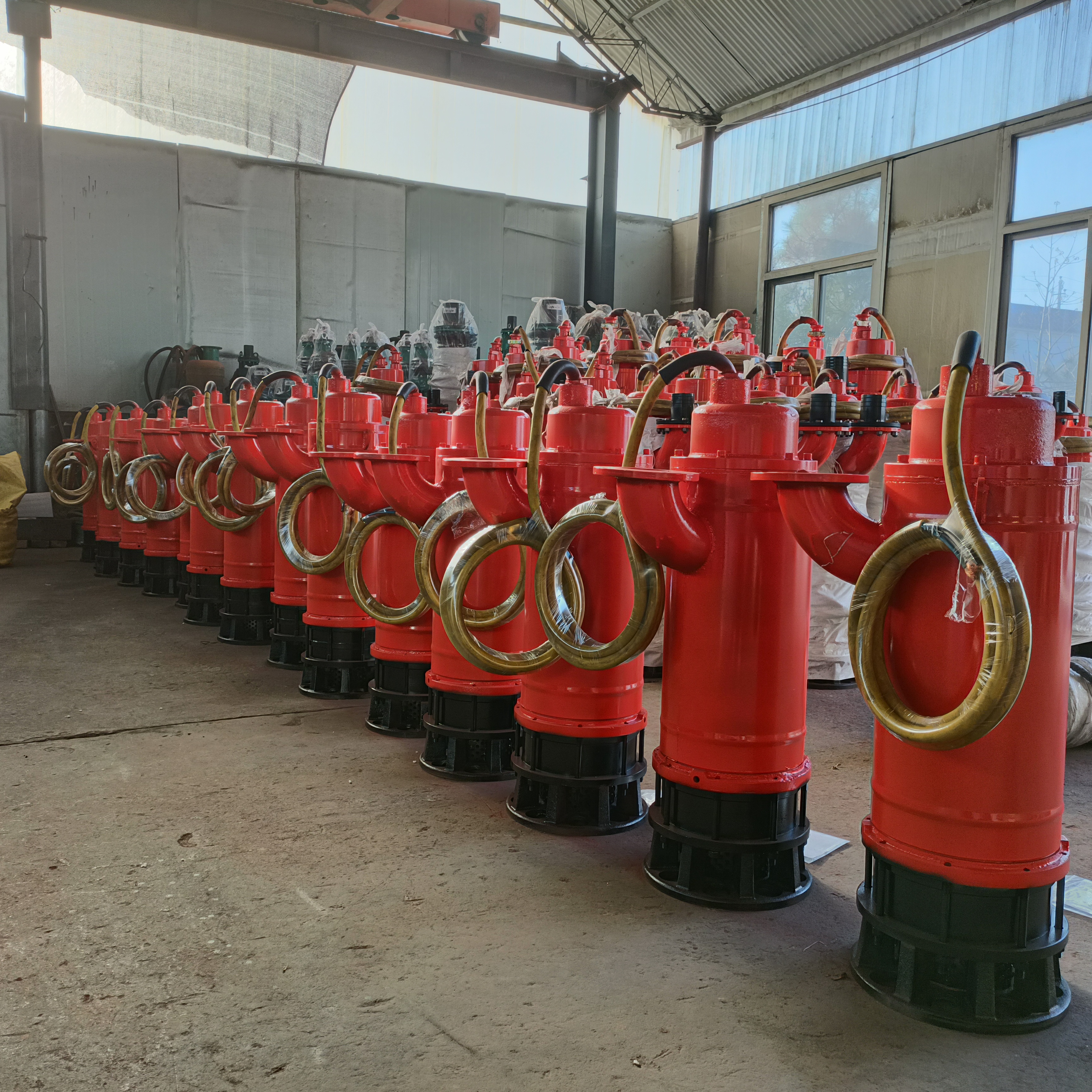 防爆污水泵圖片/防爆污水泵樣板圖 (1)