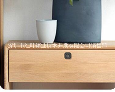 指紋文件柜圖片/指紋文件柜樣板圖 (4)