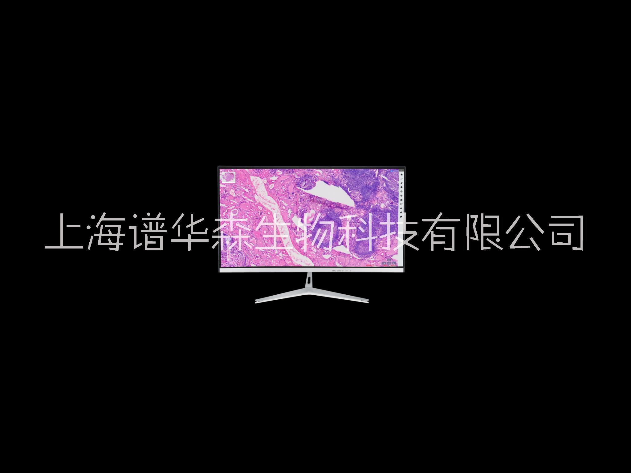 掃描儀圖片/掃描儀樣板圖 (3)