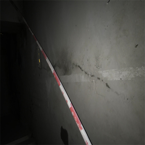 樓面裂縫防水補(bǔ)漏圖片/樓面裂縫防水補(bǔ)漏樣板圖 (1)