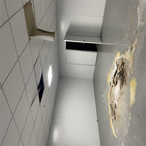 防水補漏哪個公司好圖片/防水補漏哪個公司好樣板圖 (4)