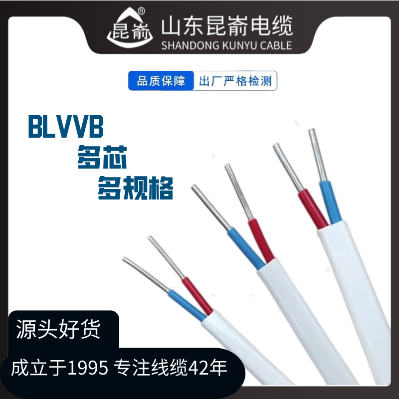 威海電線電纜供應(yīng)威海電纜威海 鋁護(hù)套電線BLVVB